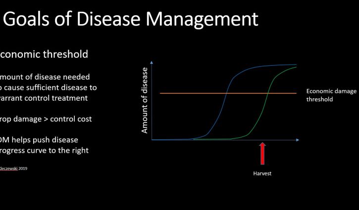Plant disease basics that can help you understand disease data this spring